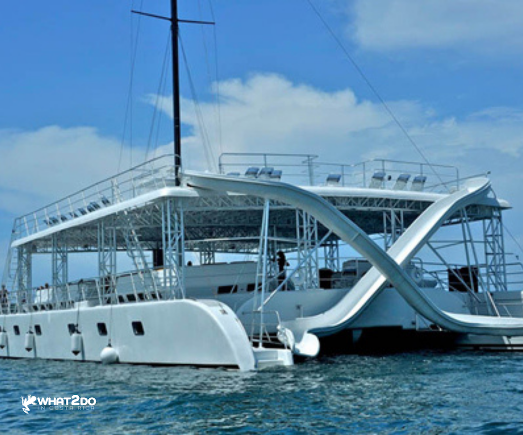 ocean king catamaran quepos